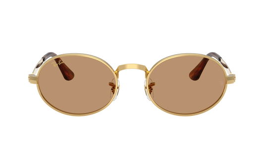 RAYBAN 3931
