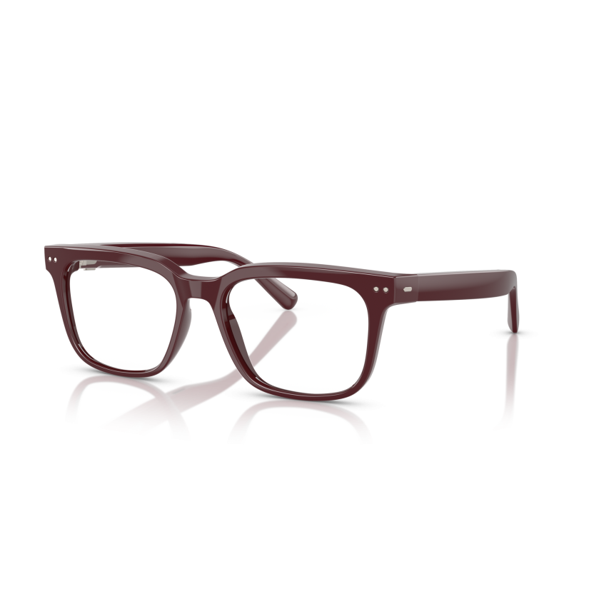 NUANCE AUDIO GLASSES