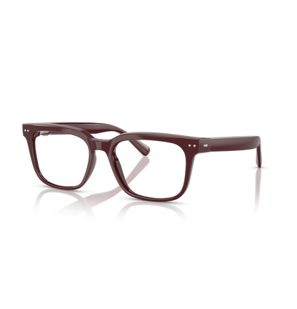 NUANCE AUDIO GLASSES