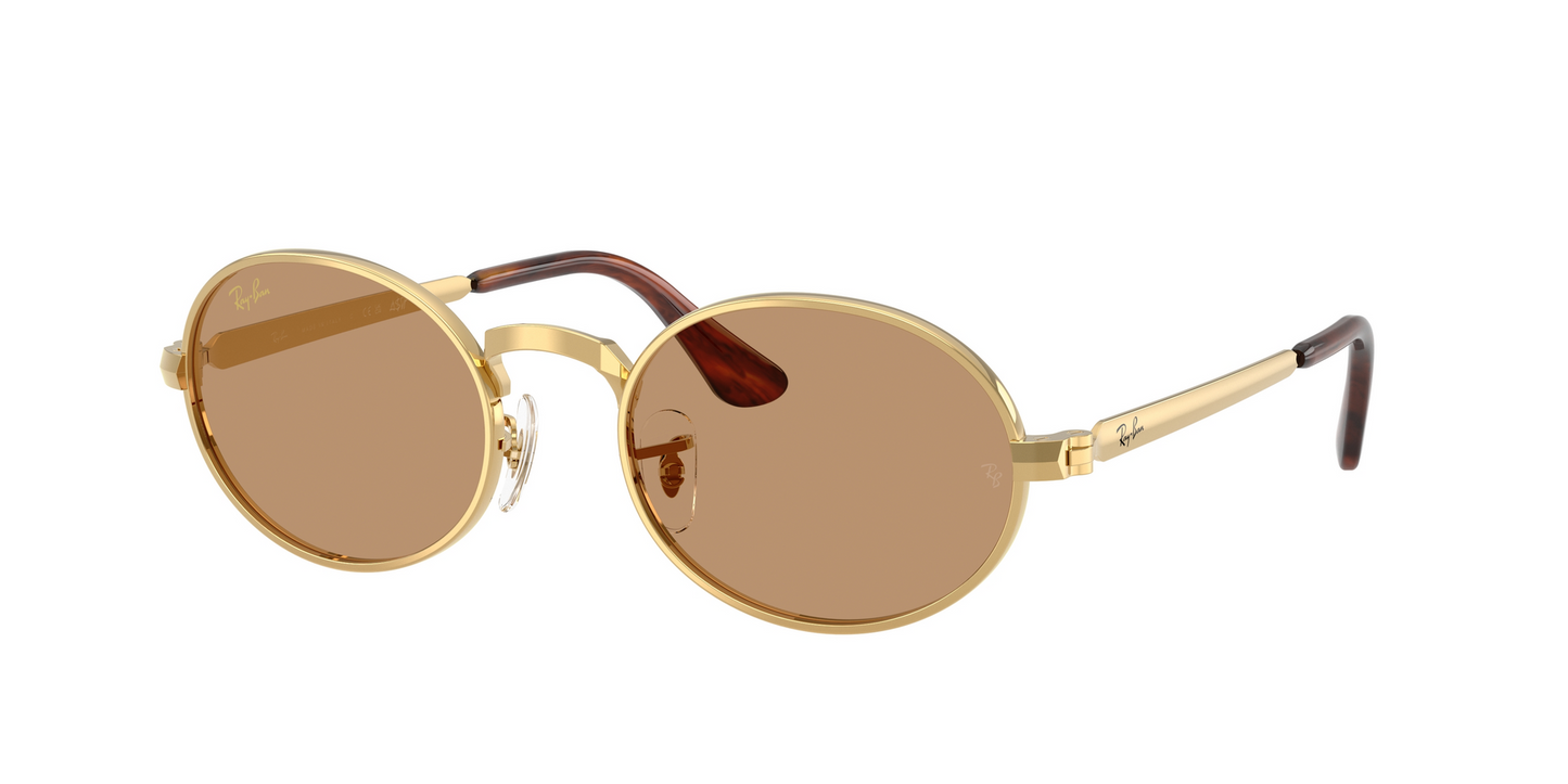 RAYBAN 3931